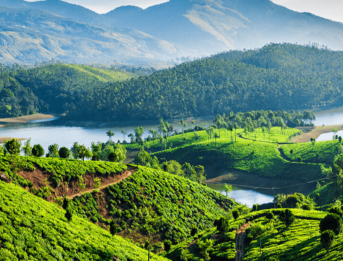 A view of beautiful grasslands and mountains in South India